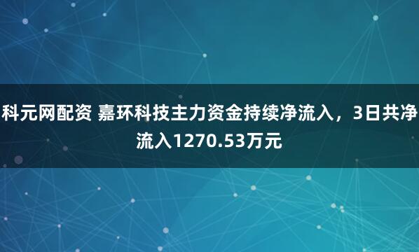 科元网配资 嘉环科技主力资金持续净流入，3日共净流入1270.53万元